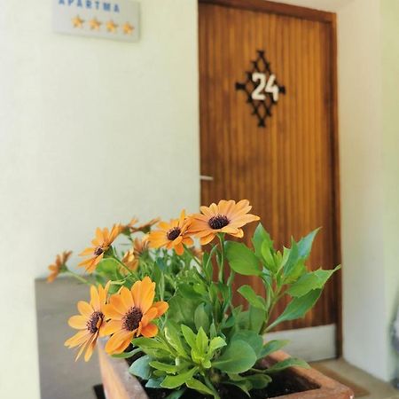 Apartma Rekar - A House, Where You Can Relax In The Embrace Of Nature جيسينيس المظهر الخارجي الصورة