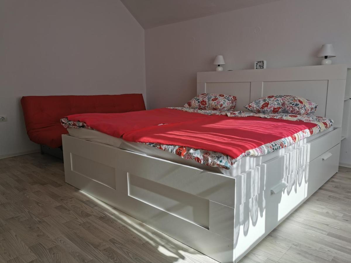 Apartma Rekar - A House, Where You Can Relax In The Embrace Of Nature جيسينيس المظهر الخارجي الصورة