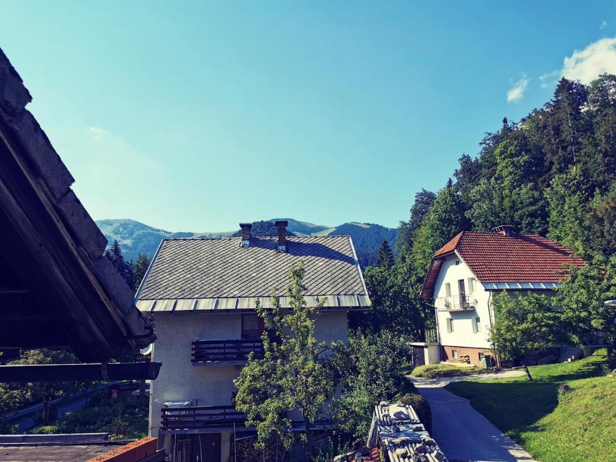 Apartma Rekar - A House, Where You Can Relax In The Embrace Of Nature جيسينيس المظهر الخارجي الصورة