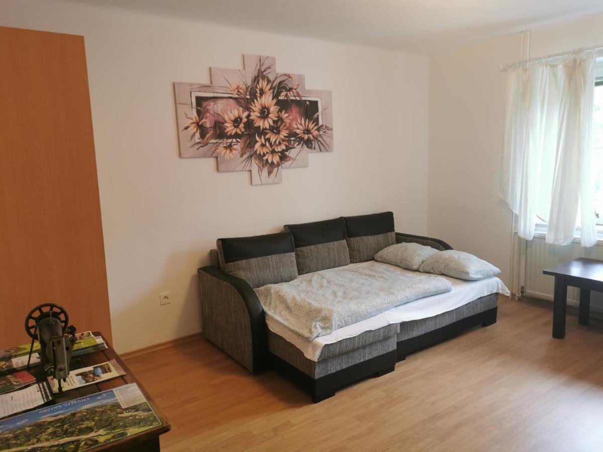 Apartma Rekar - A House, Where You Can Relax In The Embrace Of Nature جيسينيس المظهر الخارجي الصورة